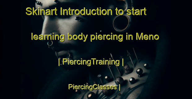 Skinart Introduction to start learning body piercing in Meno | PiercingTraining | PiercingClasses | SkinartTraining-United States
